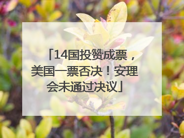 14国投赞成票，美国一票否决！安理会未通过决议